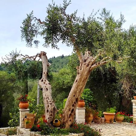 Villa Raxi Fountana Dış mekan fotoğraf