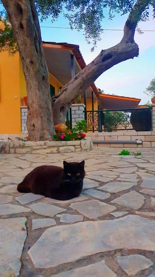 Villa Raxi Fountana Dış mekan fotoğraf